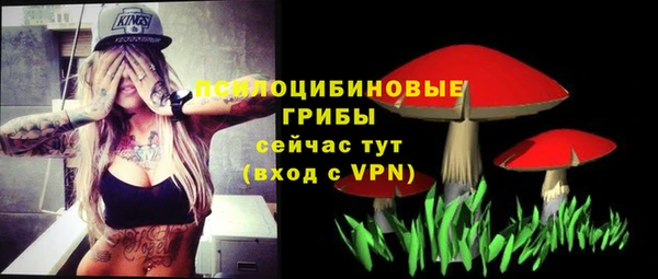 прущая мука Арсеньев