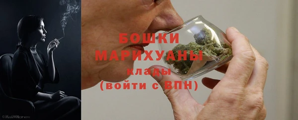 крисы Дмитриев