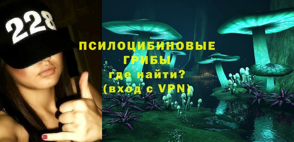 прущая мука Арсеньев