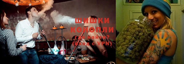 винт Гусь-Хрустальный