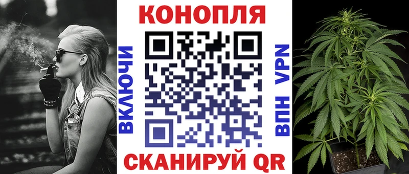 Каннабис OG Kush  Среднеколымск 